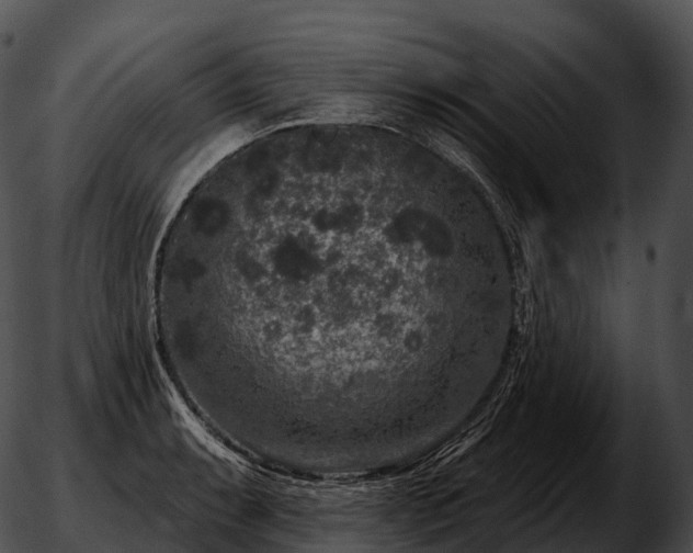 X0000051891087200507020050