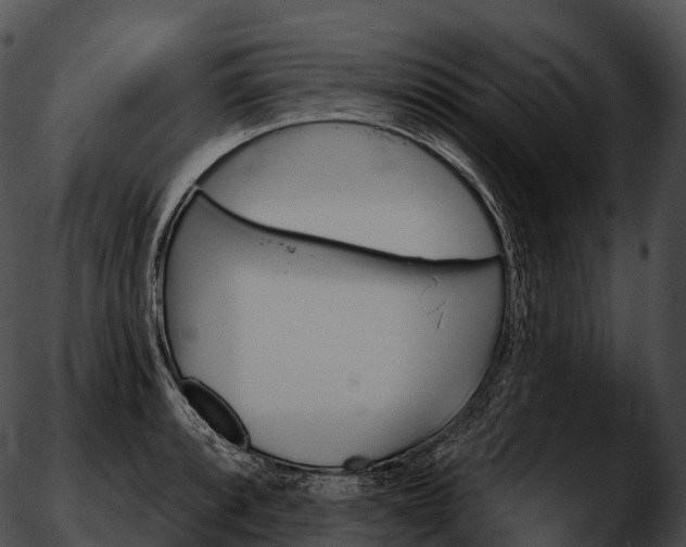 X0000051891088200507020050