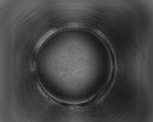 X0000051891089200507020050