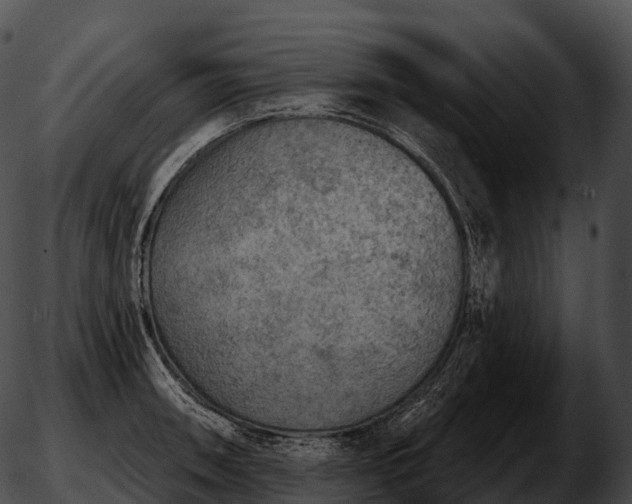 X0000051891090200507020050