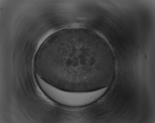 X0000051891091200507020050