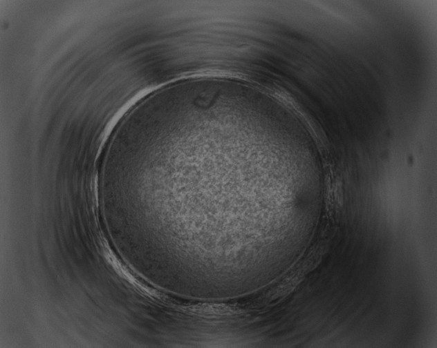 X0000051891092200507020050