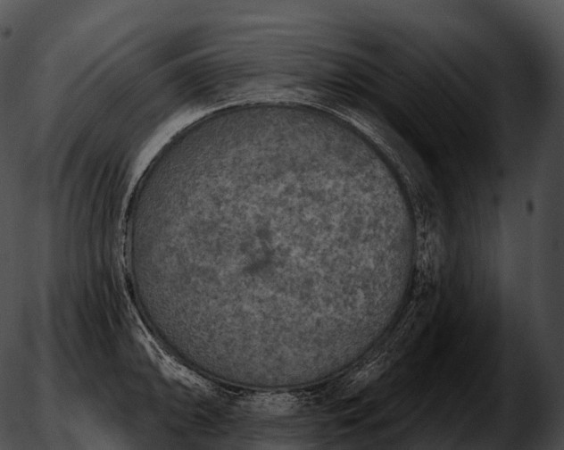 X0000051891094200507020050