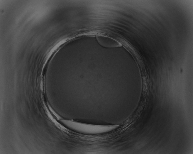 X0000051891095200507020050