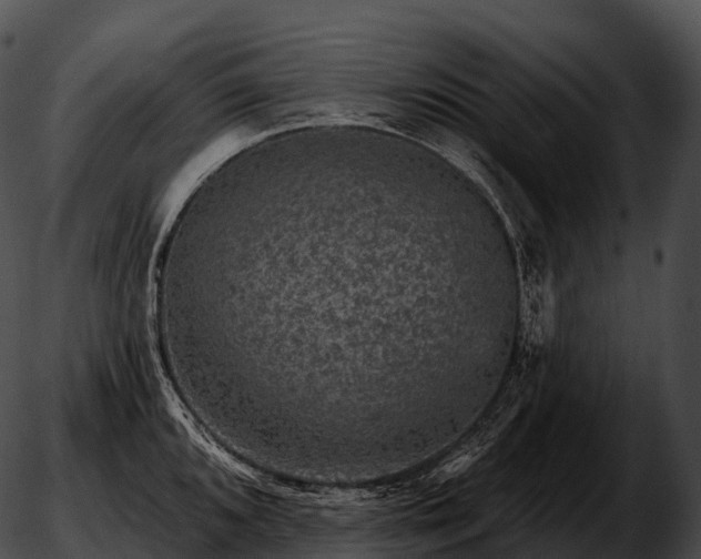 X0000051891096200507020050