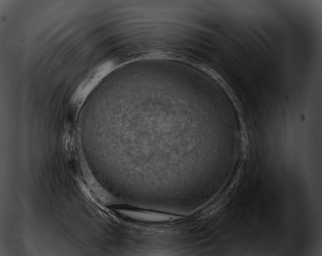 X0000051891097200507020049