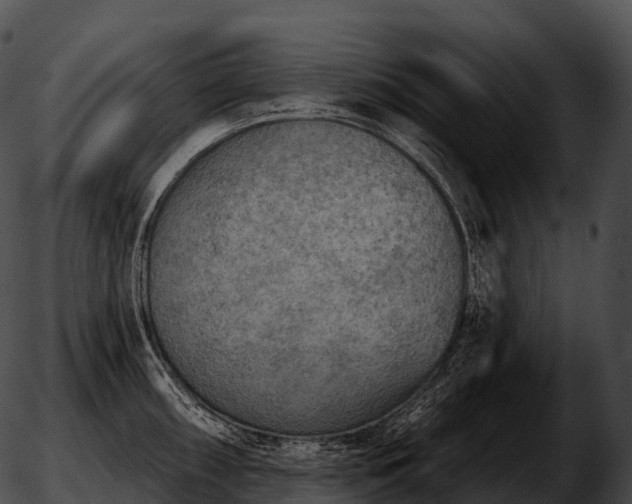 X0000051891098200507020049