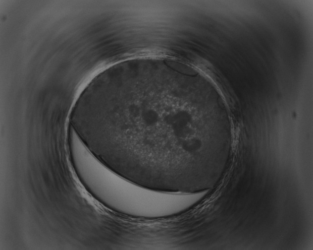 X0000051891099200507020049