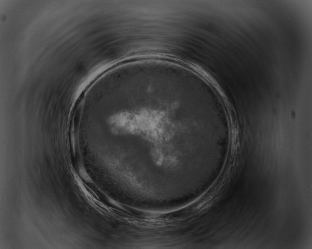 X0000051891101200507020049