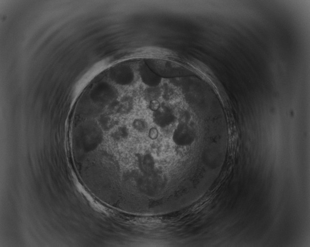 X0000051891103200507020049