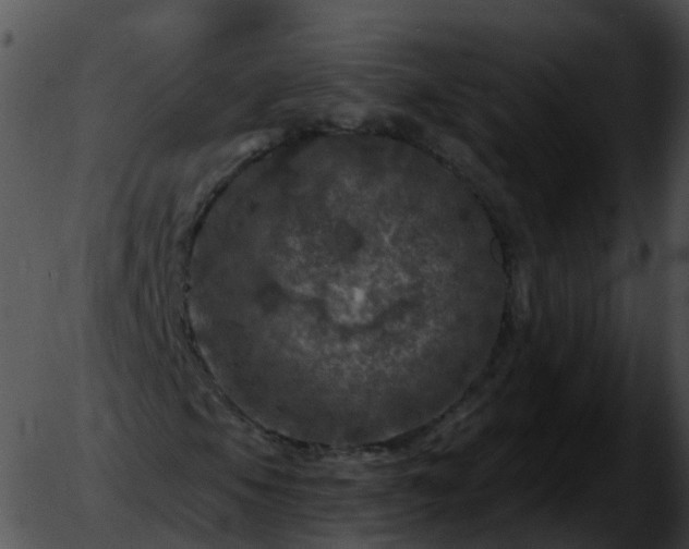 X0000051891105200507020049