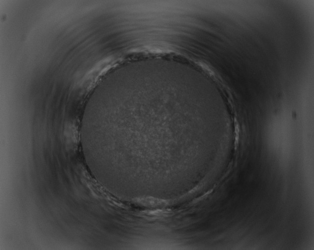 X0000051891110200507020049