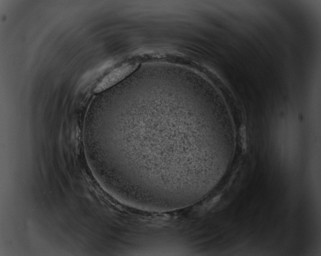 X0000051891111200507020049