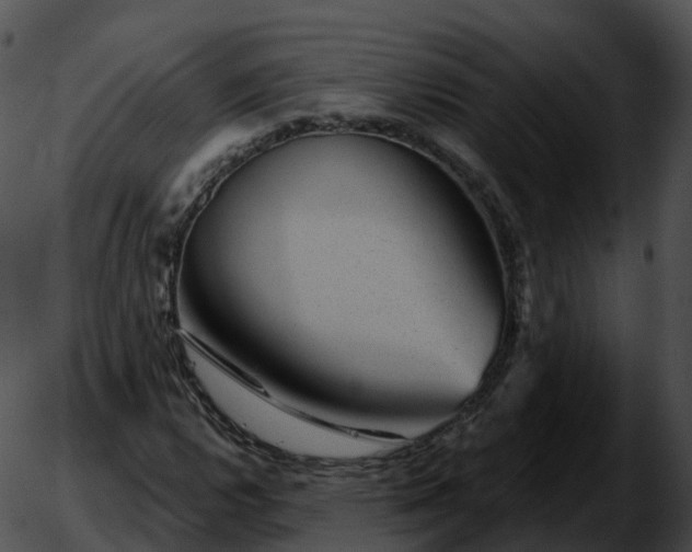 X0000051891112200507020049