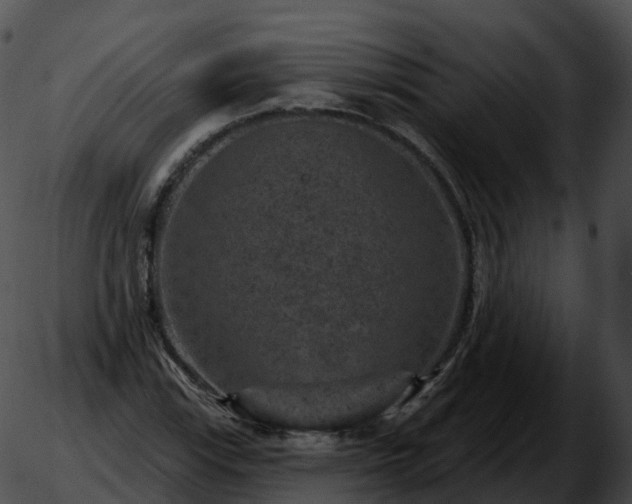 X0000051891115200507020049