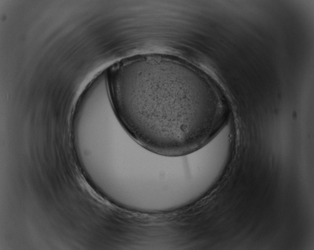 X0000051891116200507020049