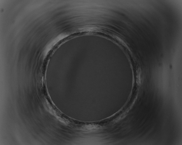 X0000051891117200507020049