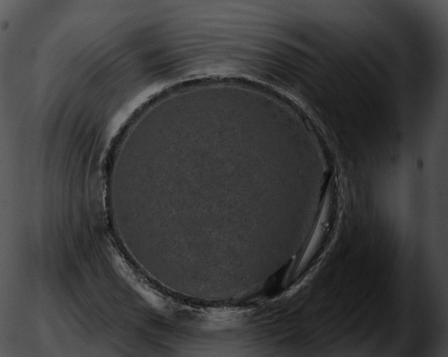 X0000051891118200507020049