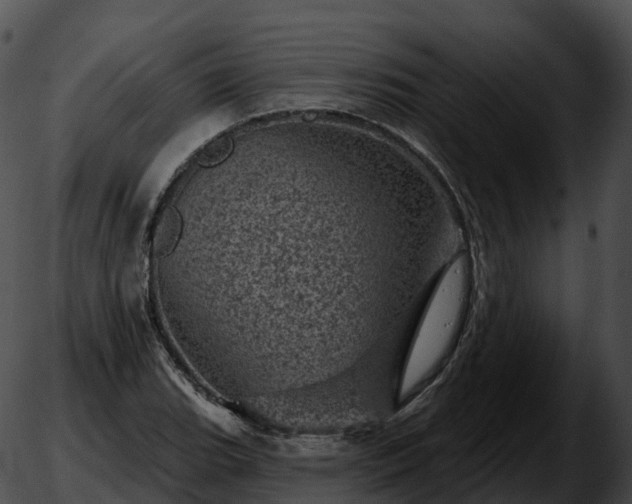 X0000051891119200507020049