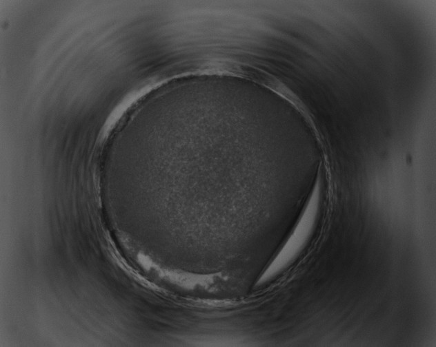 X0000051891120200507020049