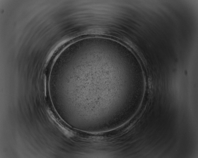 X0000051891123200507020049