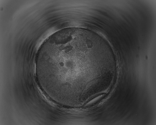 X0000051891125200507020049