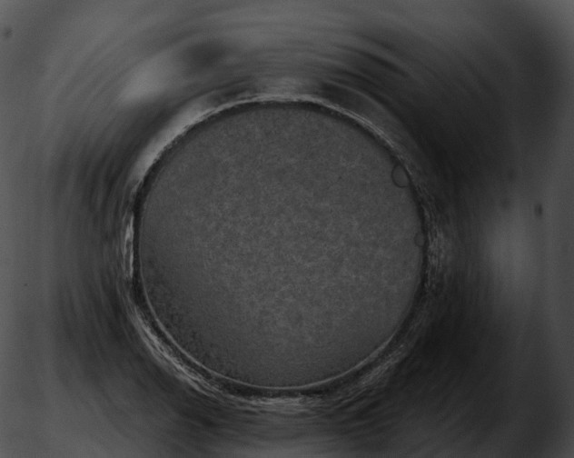 X0000051891126200507020049