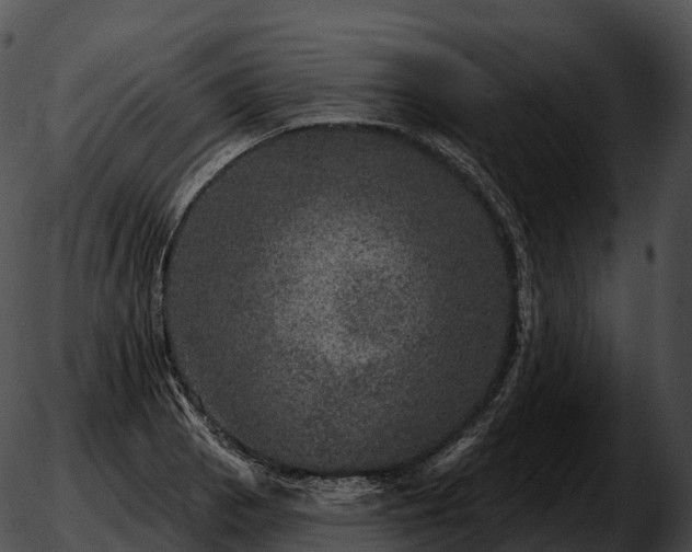 X0000051891129200507020049