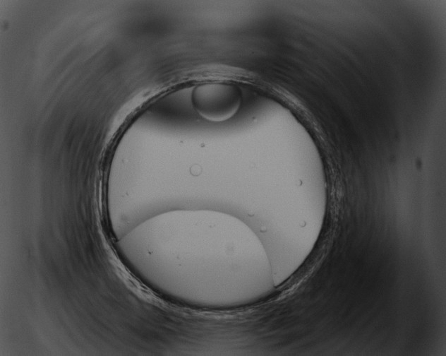 X0000051891130200507020049