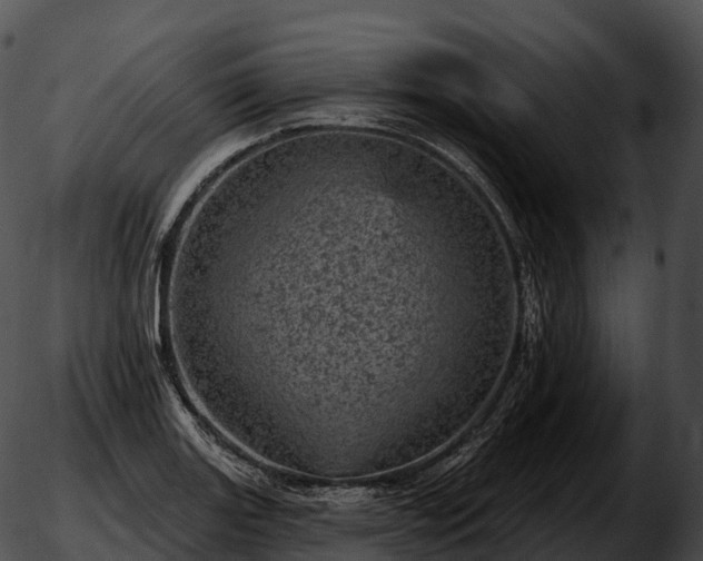 X0000051891131200507020049