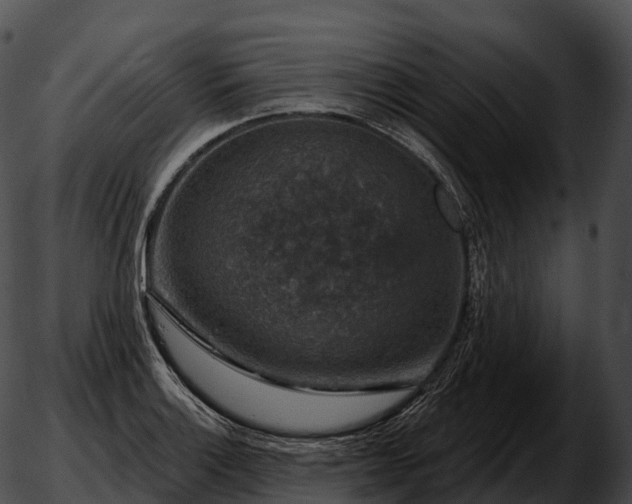 X0000051891132200507020049