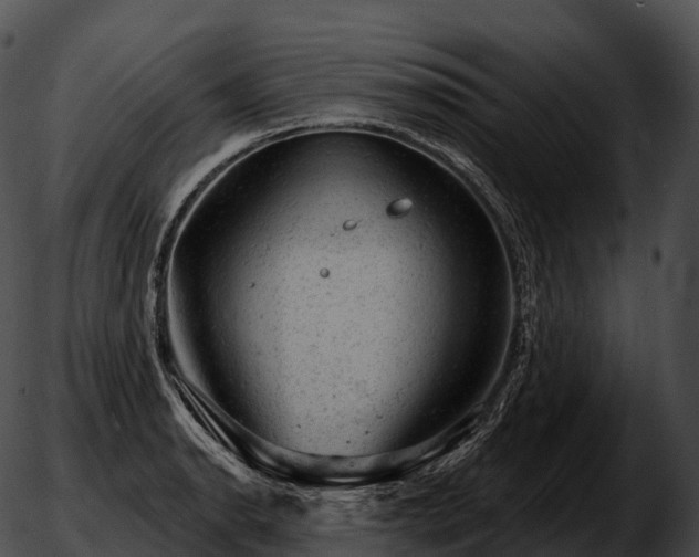 X0000051891134200507020049