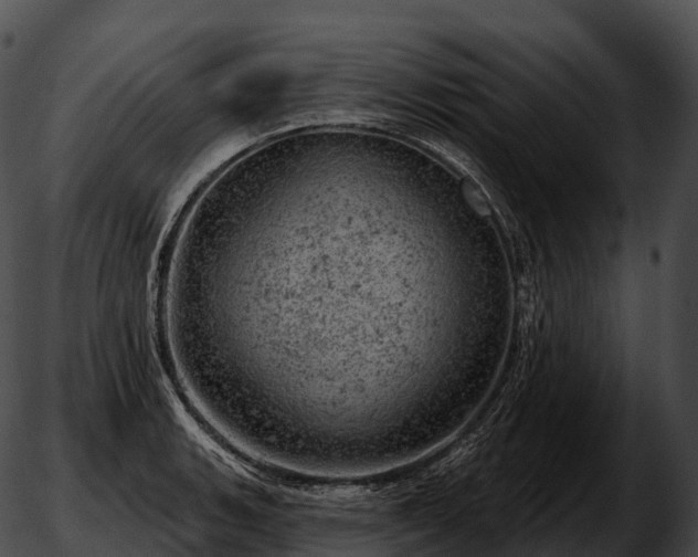 X0000051891135200507020049