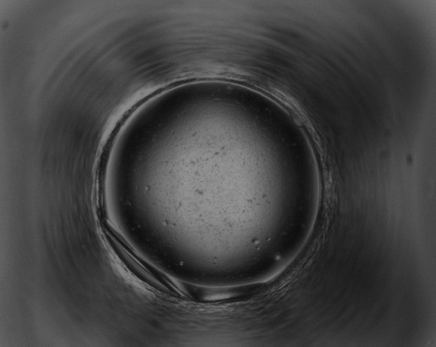 X0000051891136200507020049