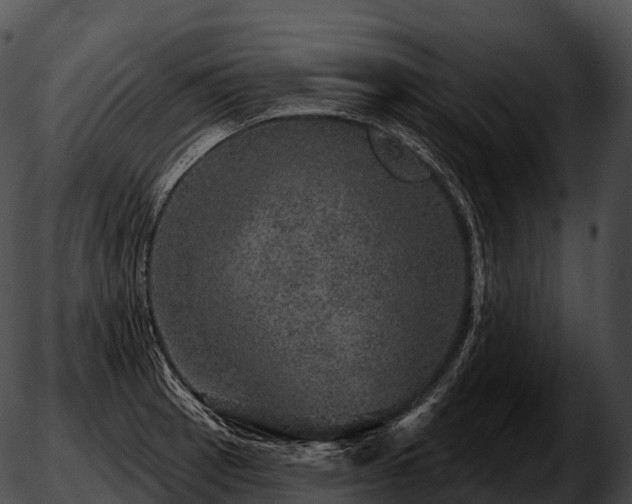 X0000051891137200507020049