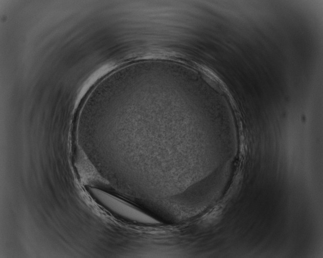 X0000051891138200507020049