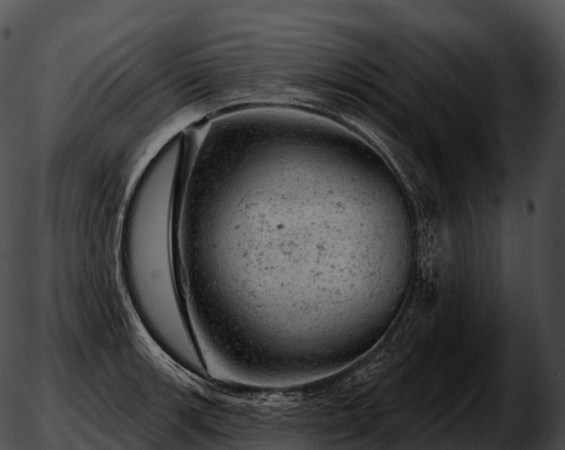 X0000051891139200507020049