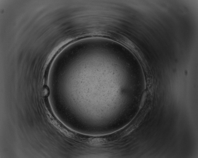 X0000051891140200507020049