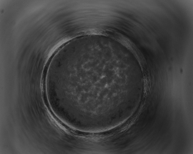 X0000051891141200507020049