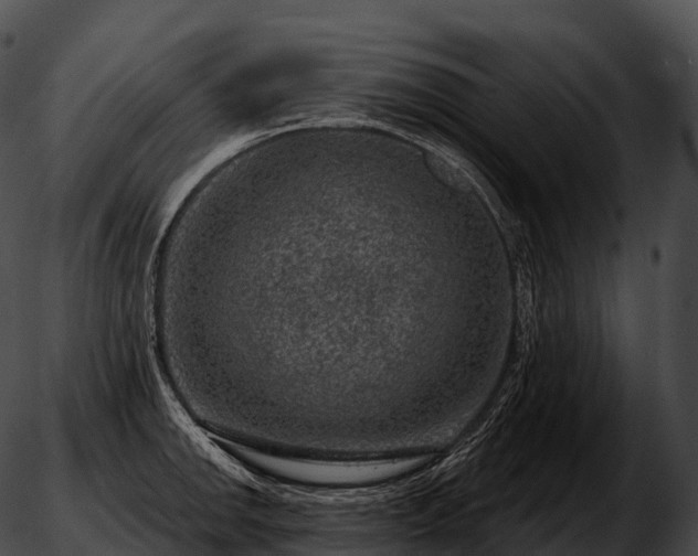 X0000051891142200507020049