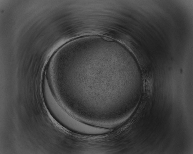 X0000051891143200507020049