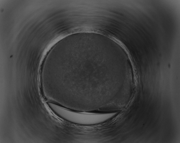 X0000051891144200507020049