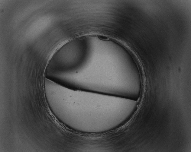 X0000051891145200507020049