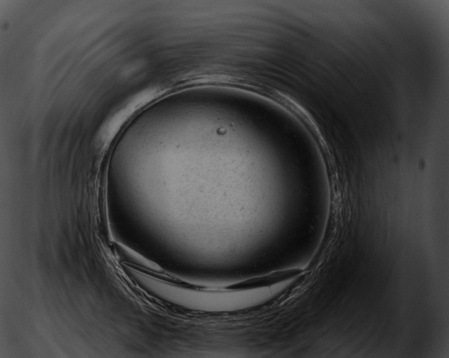 X0000051891146200507020049