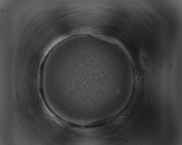 X0000051891147200507020049