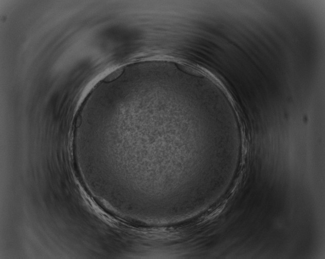 X0000051891149200507020049