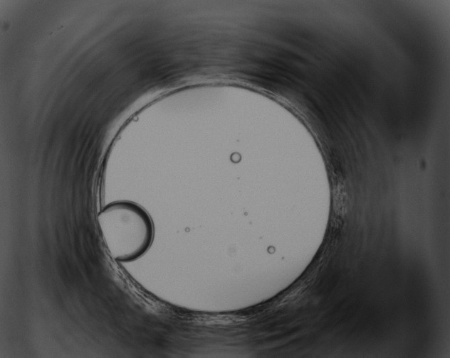 X0000051891150200507020049