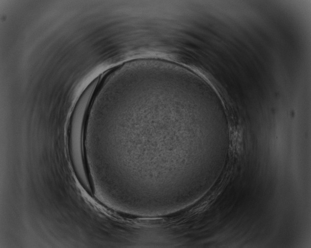 X0000051891151200507020049