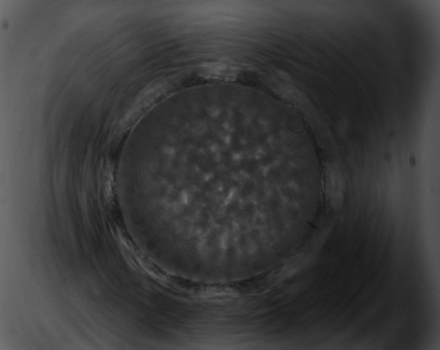 X0000051891154200507020049