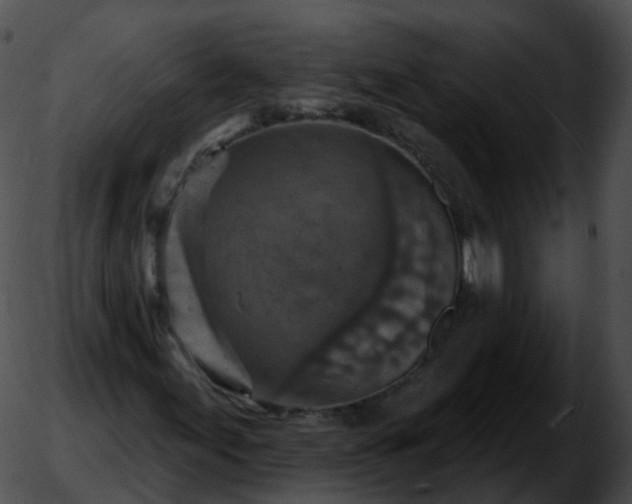 X0000051891155200507020049